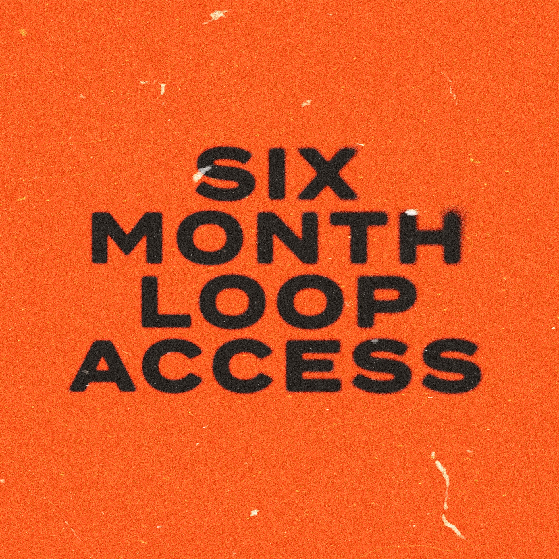 SIX MONTH LOOP SUBSCRIPTION – The Loop Cart