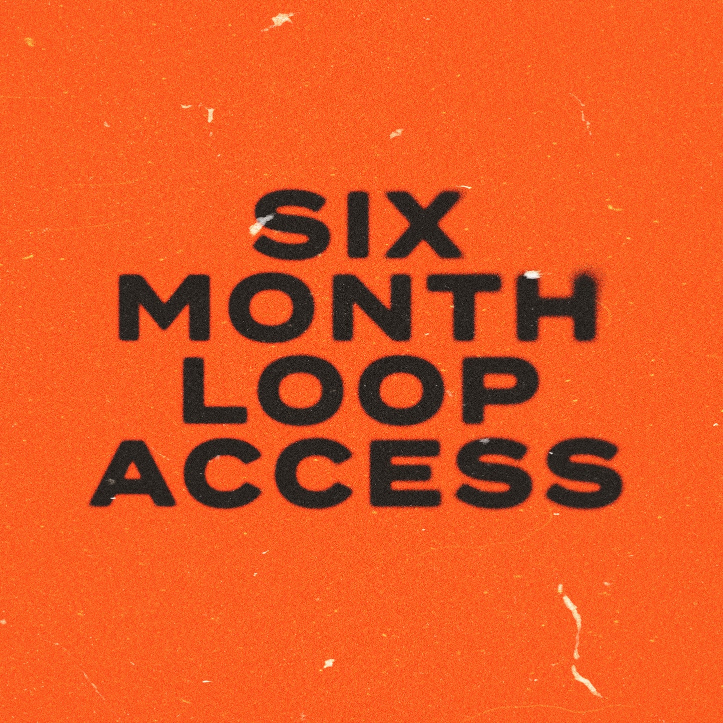 SIX MONTH LOOP SUBSCRIPTION