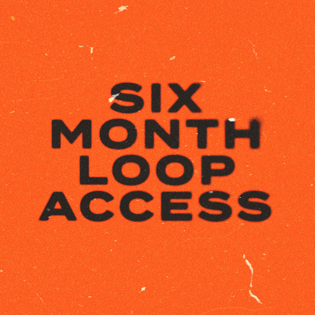 SIX MONTH LOOP SUBSCRIPTION – The Loop Cart